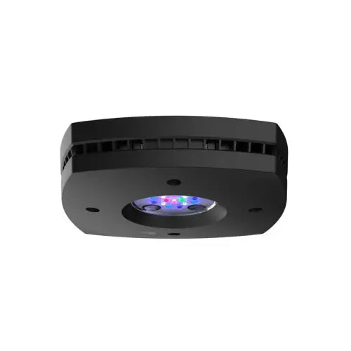 AI Prime 16HD - Smart LED - Black (~55W) - Akvaarion valaistus