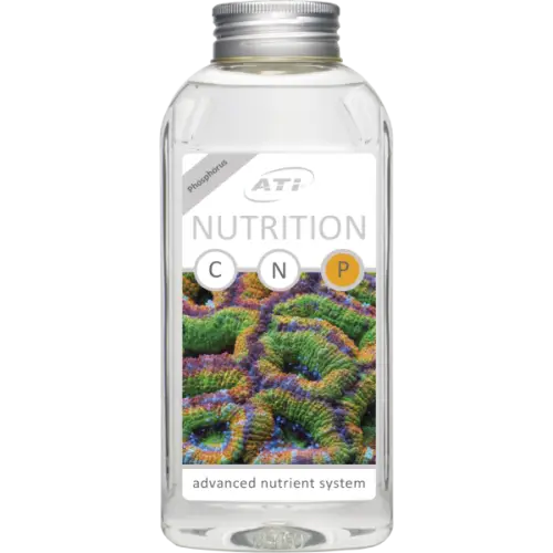 ATI Nutrition P