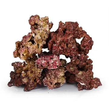 Real Reef Rock 4th gen 25-27kg