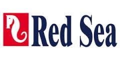 Red sea fish